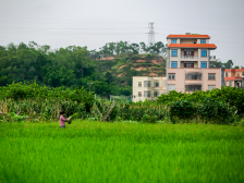 金融扶贫 广东力量