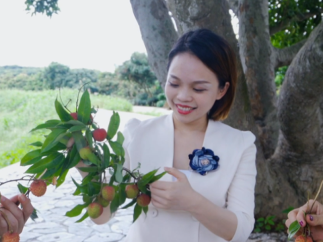 视频 | 博罗客家妹子邀您品尝罗浮山荔枝