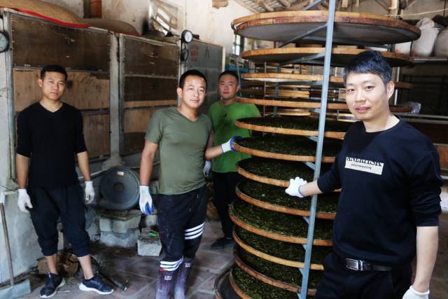 汕头市南澳县后花园村： 茶香引归年轻人，海岛村变网红村