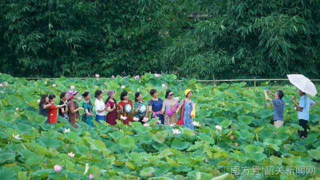 赏花、看戏、赶集...新丰非遗分会场“荷”你相约