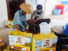 湛江坡头巴东村：私人订制帮扶套餐，贫困户变“勤”了