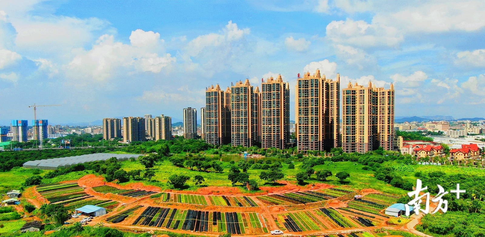 美丽企石一角。