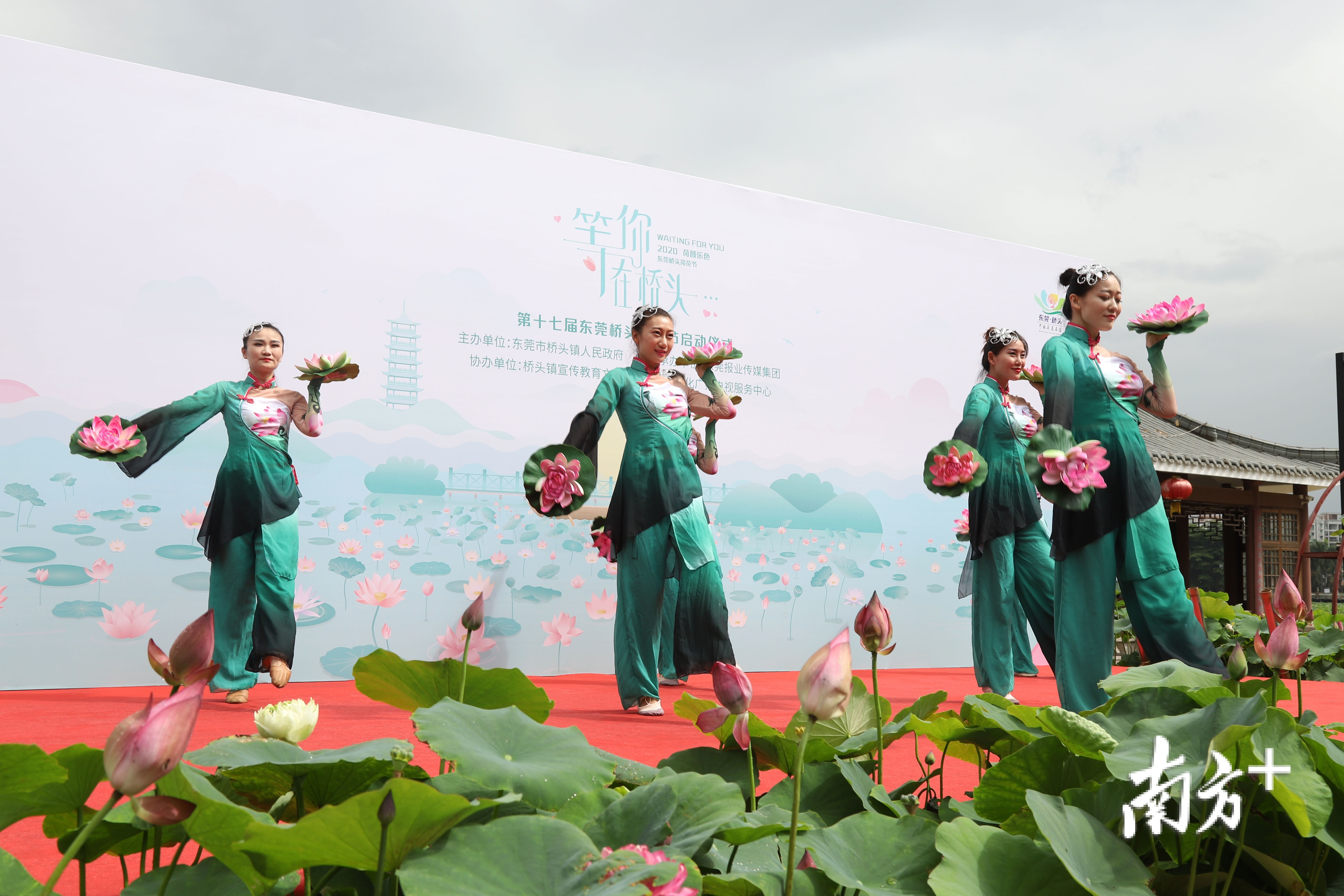 6月18日,“荷颜乐色”第十七届东莞桥头荷花节在莲湖畔凌波阁和莲湖栈道拉开帷幕,直播带货等10余项线上线下活动陆续开启。