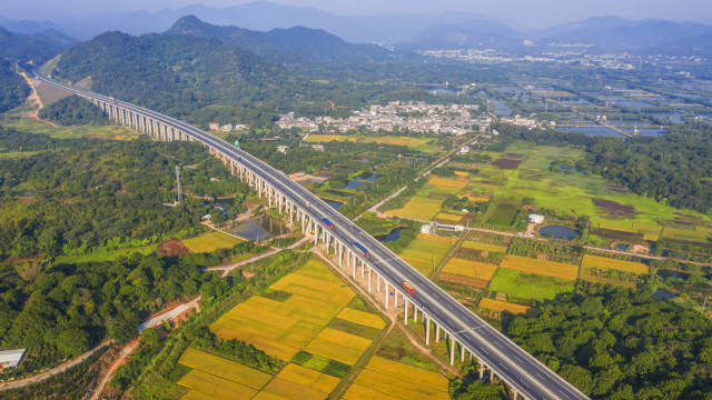 潮起·潮安样本丨惠农兴农：绘出乡村新图景