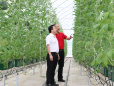 实现了！英德16487户贫困户全部脱贫！