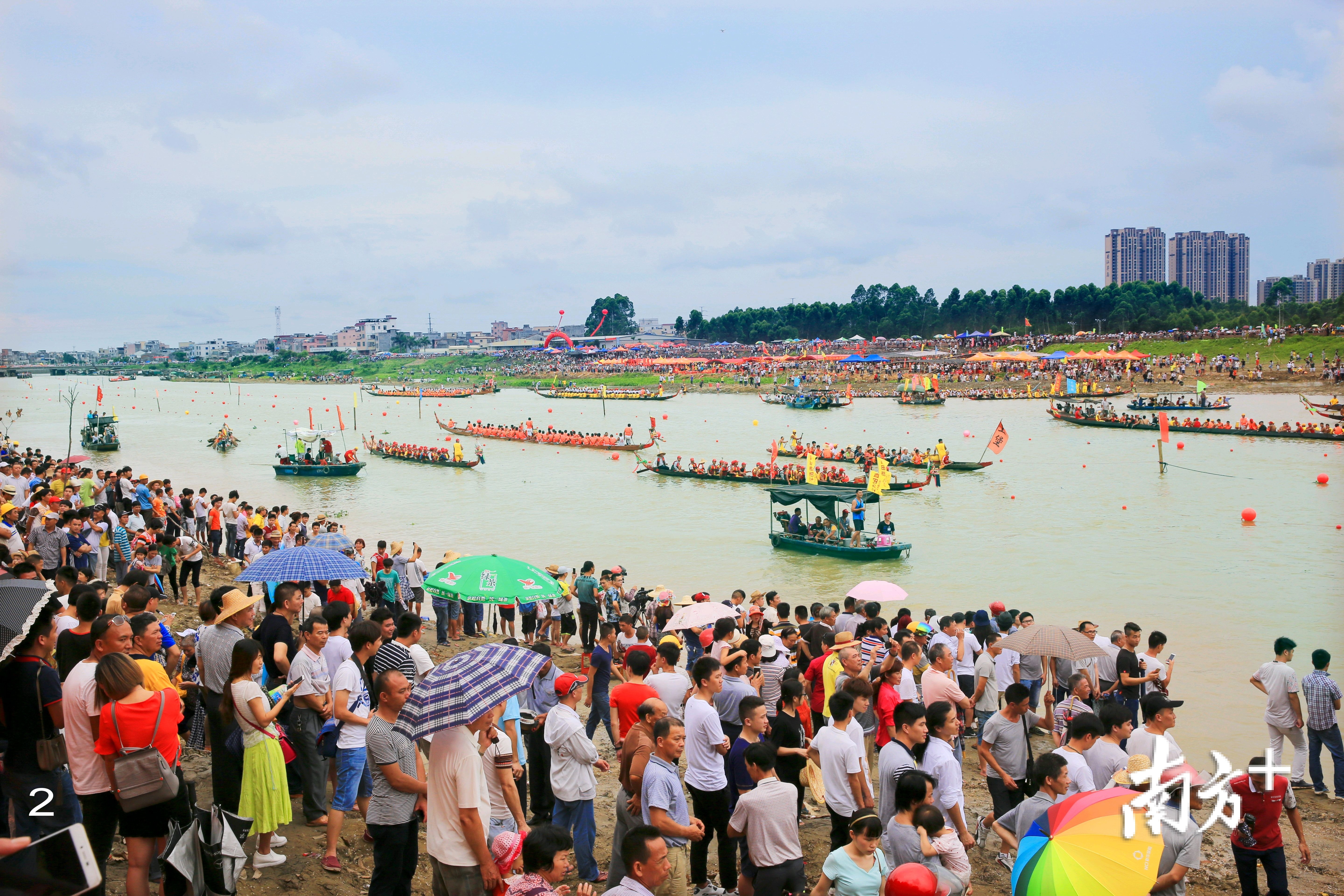 漠阳江一河两岸数万群众在观看江城逆水龙舟竞渡。