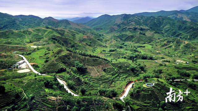 潮起·饶平样本丨产业转型升级释放新活力