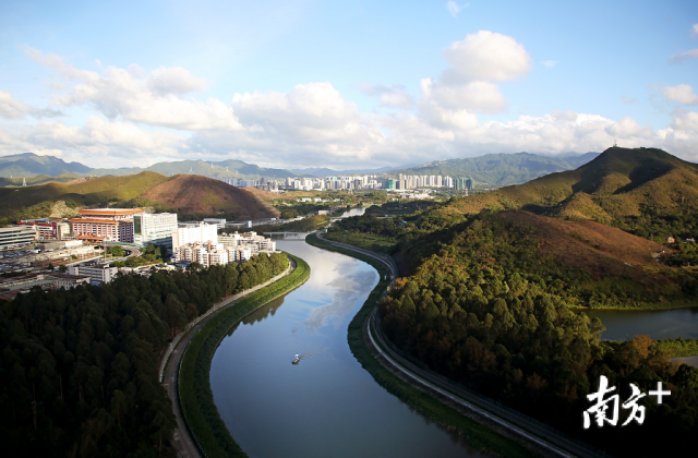 深圳河 南方日报记者 朱洪波 摄 深圳河 南方日报记者 朱洪波 摄