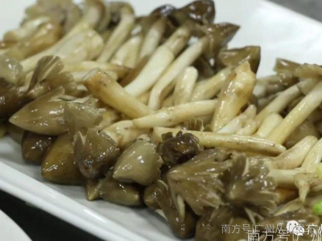 岭南菌王——从化荔枝菌！