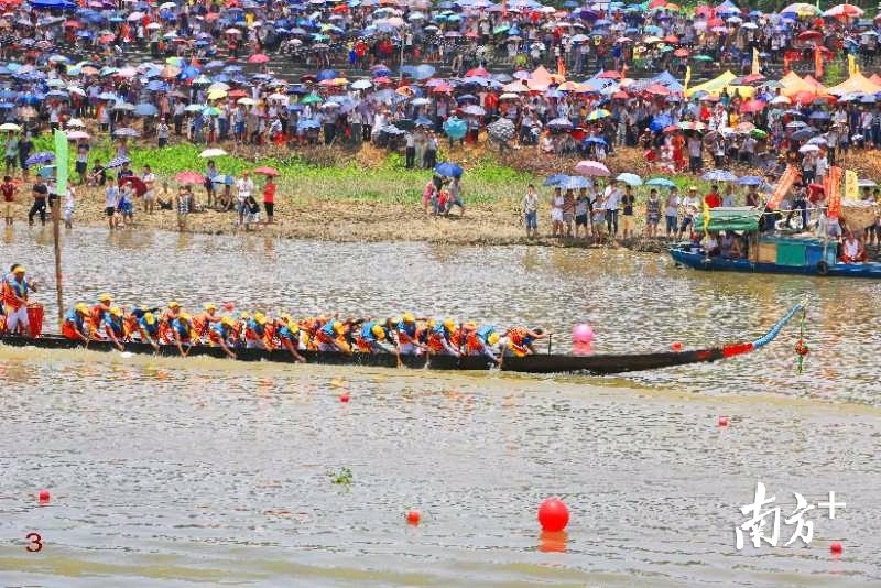 最具有阳江民间赛龙舟特色的江城下濑龙舟,是用船尾行在前的。