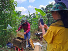 清新蜂农开直播，带着甜蜜奔小康