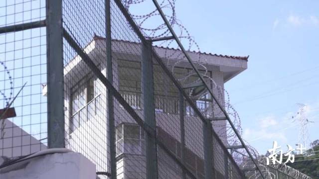 献给父亲节|“罪错青少年”的父子情