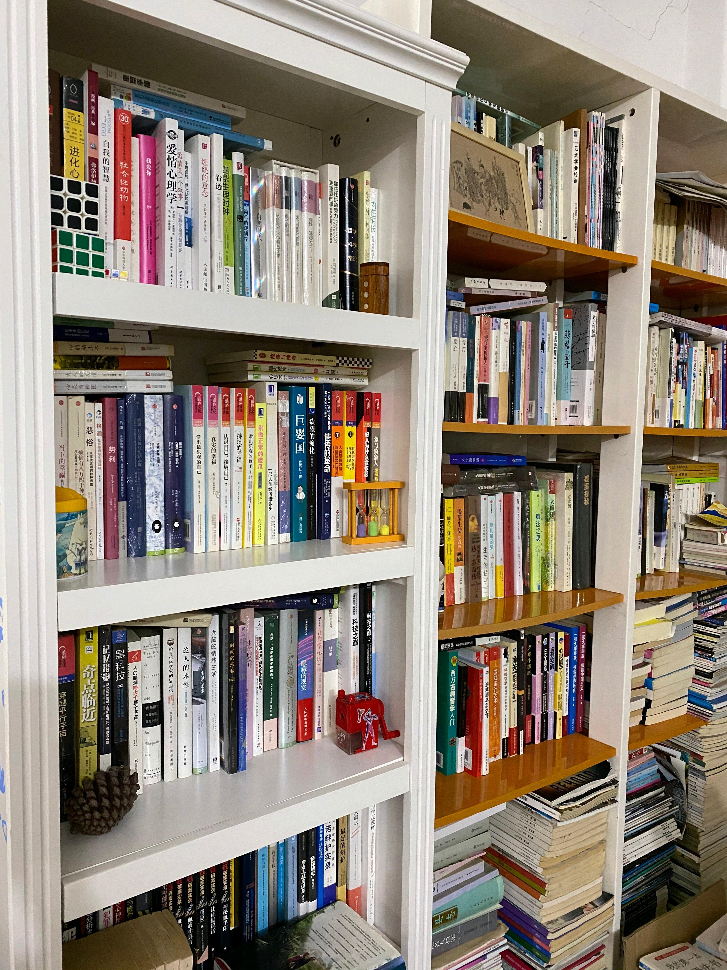 林子皓的书架。