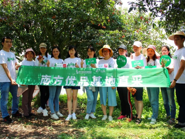 广东名优|广深两地优秀团长走进高州,直播带货岭南荔枝,1小时带货超4500斤!