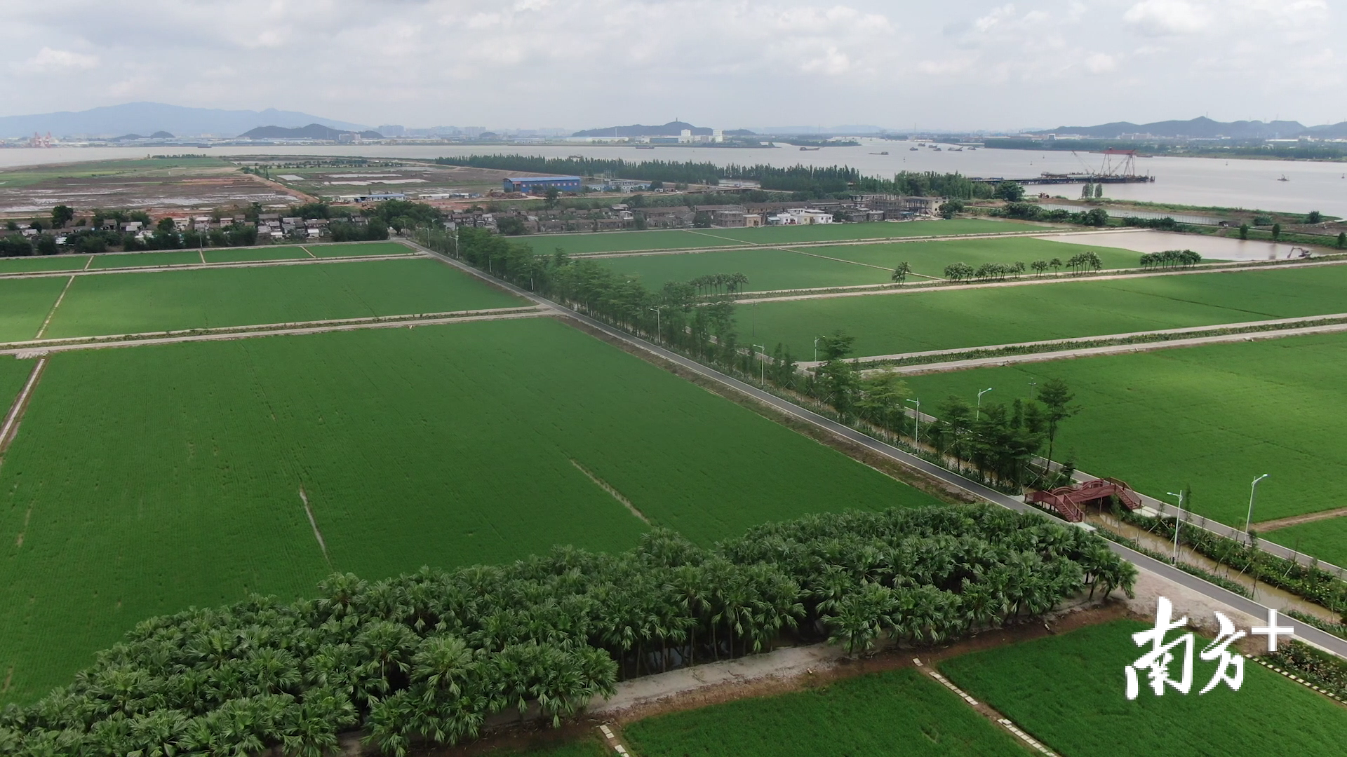 划重点江门今年垦造水田不低于4078亩