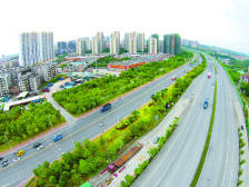 祝贺！2019年禅城获得了这些国家级荣誉｜禅城区委全会