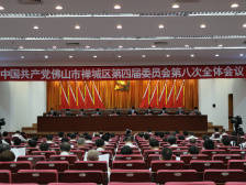 回顾｜禅城区委四届八次全会顺利召开，南方+带你划重点