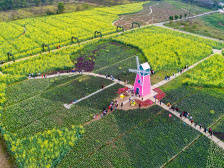 镇街回响｜丹灶：创建城乡融合示范镇，促产城人文融合发展