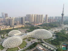 四个“千方百计”稳住经济基本盘｜禅城区委全会