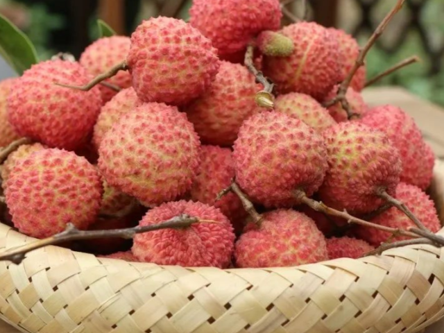 奥“荔”给!惠州荔枝,火了!!!