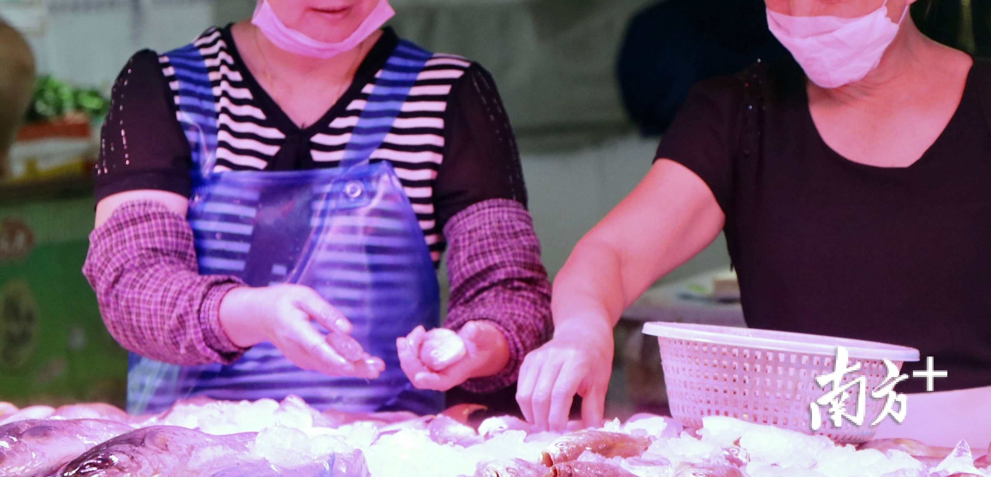 在翠微市场,有水产档口经营户未正确佩戴口罩及手套 在翠微市场,有水产档口经营户未正确佩戴口罩及手套