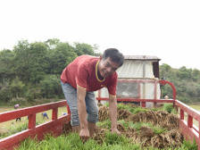 玫瑰飘香脱贫路，前途村有大前途|决战决胜脱贫攻坚