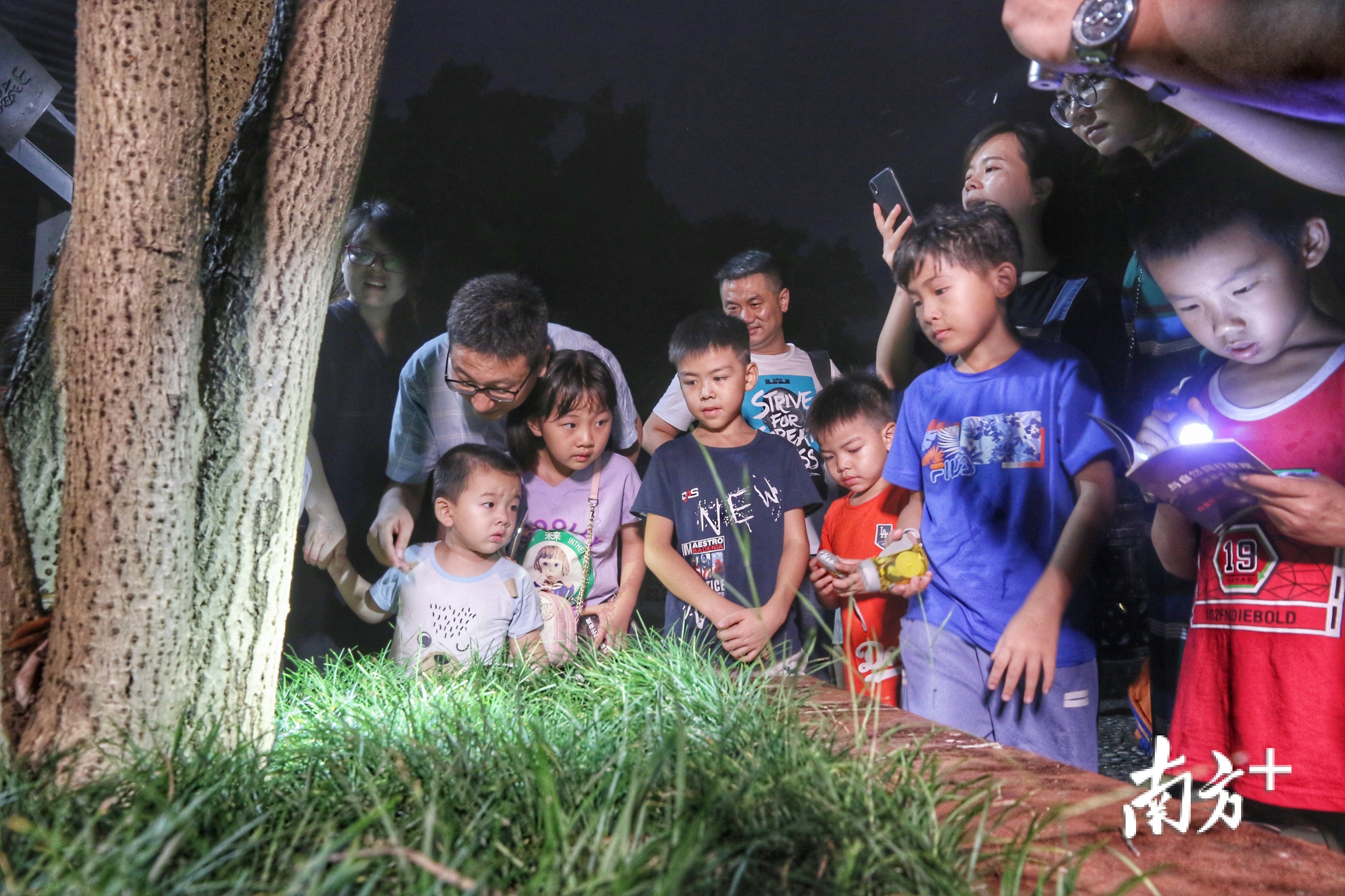 西樵山研学游吸引不少亲子参加。通讯员供图