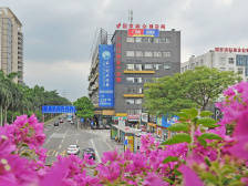 创业失败者也要扶持，政府可增加企业注销服务｜禅城委员说