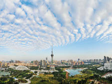 禅城政协委员最关注什么？东平水轴北岸建设、“夜间经济区”成流量话题