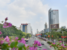 减税费促融资引人才，助中小企业疫情突围｜禅城委员说