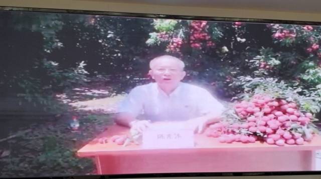 “云会议”上，中山扶贫干部现场带货卖荔枝