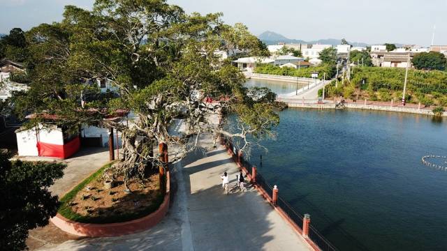 汕头“战贫记”：让贫困村走上持续振兴发展之路