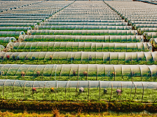湛江：尽锐出战决战脱贫攻坚，善作善成决胜全面小康
