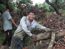茂名荔枝顺利收官！荔农：最有尊严的一年
