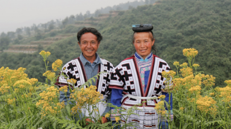 富起来的昭通兄弟，中山为你们点赞！