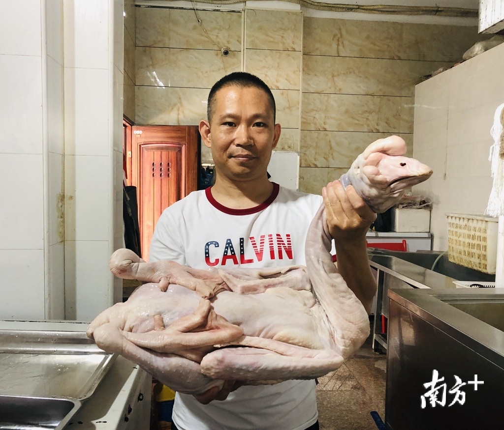 余壮忠展示未卤制的狮头鹅。