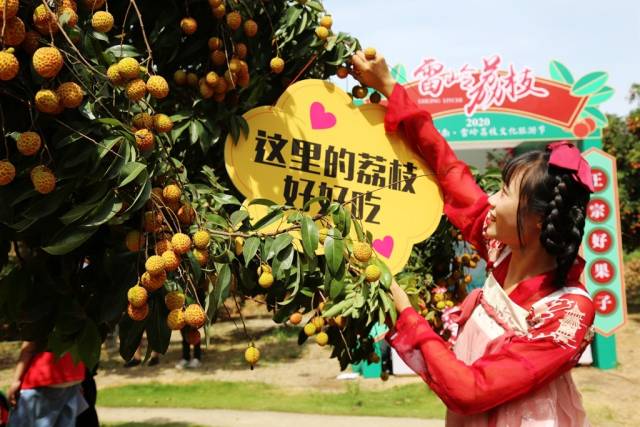 汕头潮南雷岭:一颗荔枝的创新“进化史”