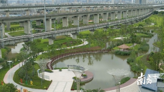 三山森林公园，三龙湾南海片区建设局供图