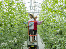 清远英德连樟村：村里来了新项目，村民迈上小康路