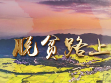 今天，把C位留给他们！| 最美第一书记特别策划