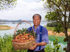 社论：如何让“荔枝尊严”可持续可复制