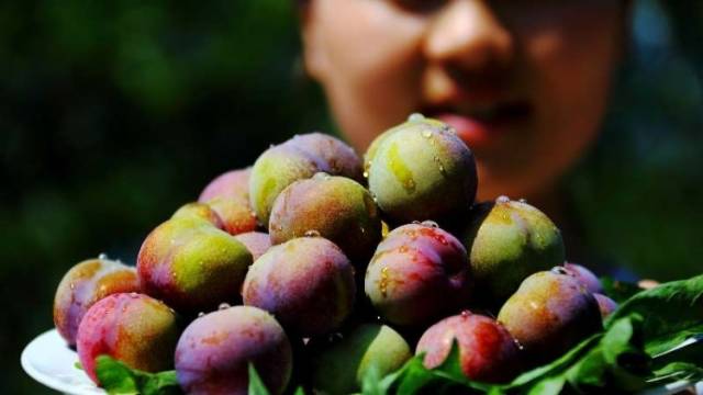 买它买它！中山直播带货热卖昭通扶贫农特产品