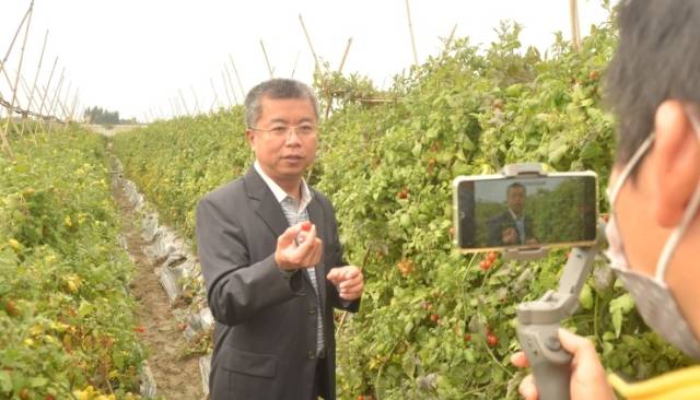 解码驻村第一书记的攻坚秘诀