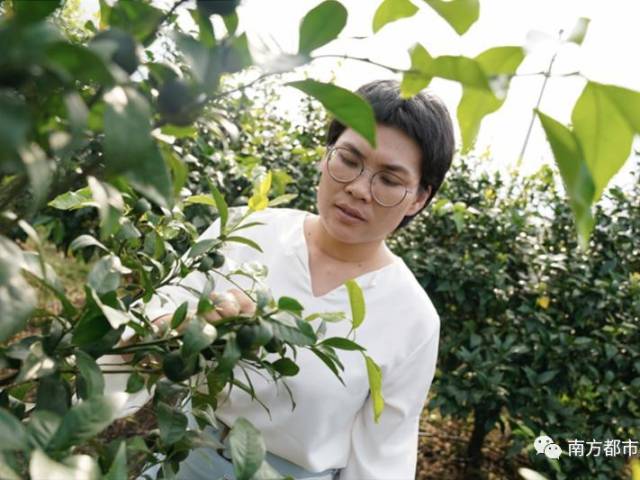 海归女生在广东种柑！“凭什么穿高跟鞋不能做农业”