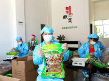 梅州五华高车塘村：扶贫产业兴，就业群众乐