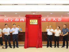 力争3到5年产值翻番！梅州兴宁肉鸽协会成立