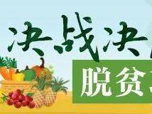 小康路上她力量|“蒸笼姑娘”用竹子编织“致富梦想”