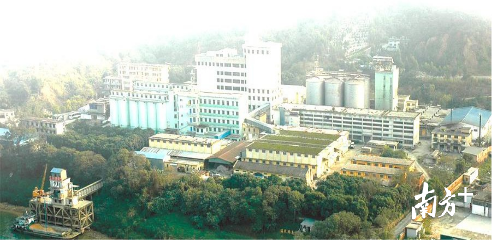 疫情初期,位于肇庆的福加德面粉公司快速实现复工复产,保障市场物资供应。受访企业供图 疫情初期,位于肇庆的福加德面粉公司快速实现复工复产,保障市场物资供应。受访企业供图