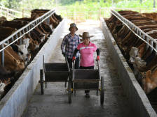 视频｜集体收入增长超百倍，这个千年古村为何这么“牛”？