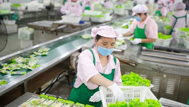 扶贫工厂：民企的“公私合营”试验